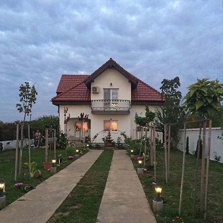 فندق Blue Sky House بالوتيشتي المظهر الخارجي الصورة