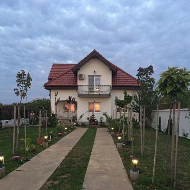 فندق Blue Sky House بالوتيشتي المظهر الخارجي الصورة